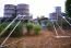 demonstration site ram pump thailand.JPG