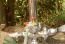 operating ram pump 2 inch waste valve.JPG