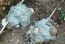 pipe fixation concrete ram pump.JPG
